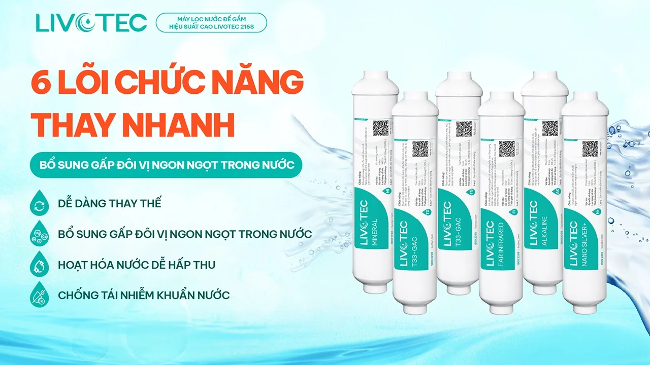 Máy lọc nước RO Livotec 216S